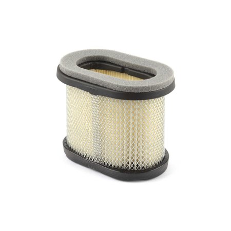 BRIGGS & STRATTON Air Filter (4 of 697029) 4207